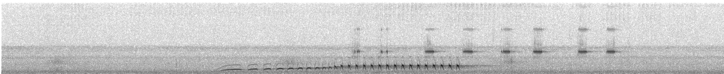 Chotacabras Bigotudo - ML643862309