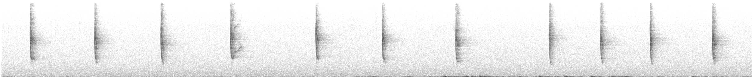 revespurv (schistacea gr.) (skiferrevespurv) - ML643862823