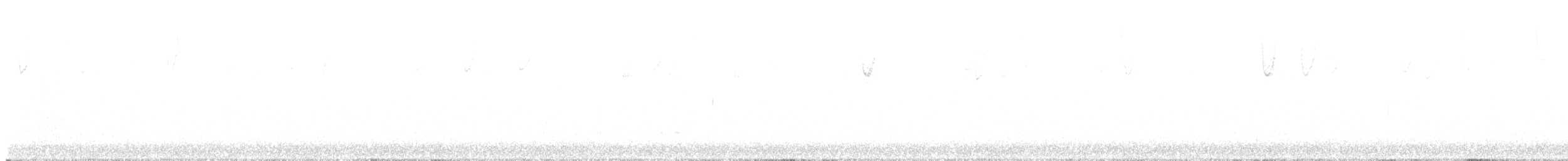 Chipping Sparrow - ML643862979