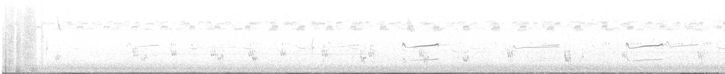 Graubrust-Strandläufer - ML643863074