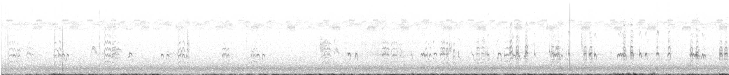 Black-necked Stilt (Black-necked) - ML643863160