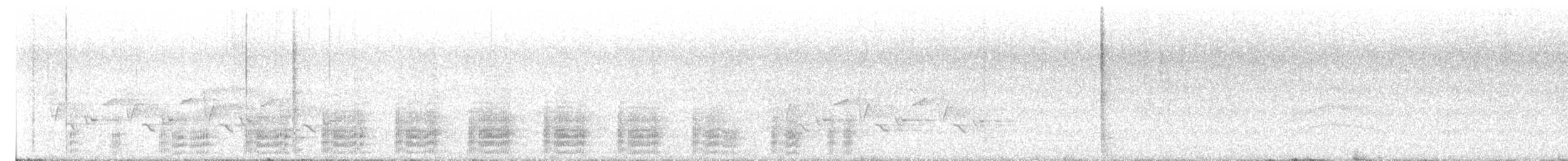 Carolina Wren - ML643864054