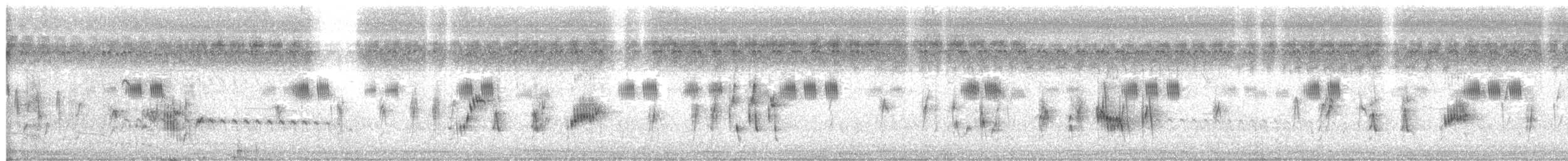 Striated Grassbird - ML643865610