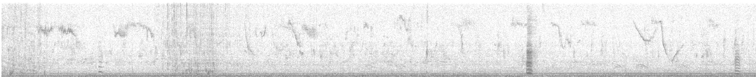 American Coot - ML643867068