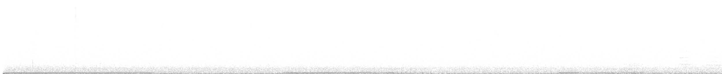 White-breasted Nuthatch - ML643867167