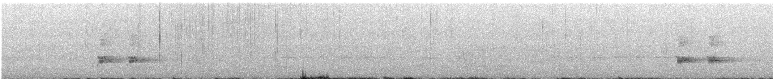 Gray Currawong - ML643867311