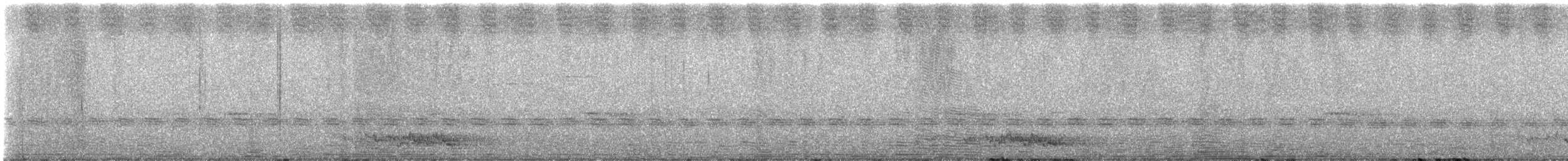 Sahul Cicadabird - ML643867735