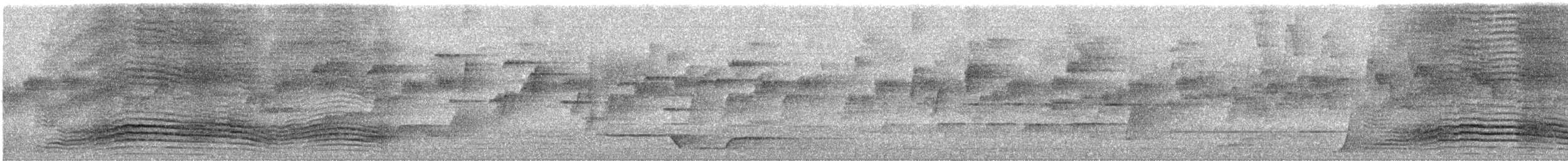 ネコドリ - ML643869662