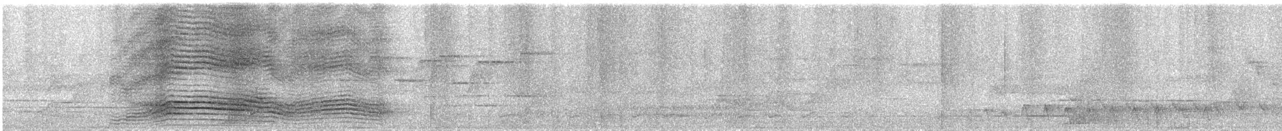 ネコドリ - ML643869663