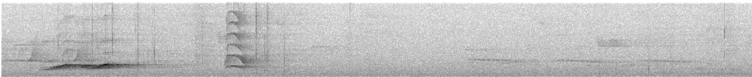 Noisy Pitta - ML643870161