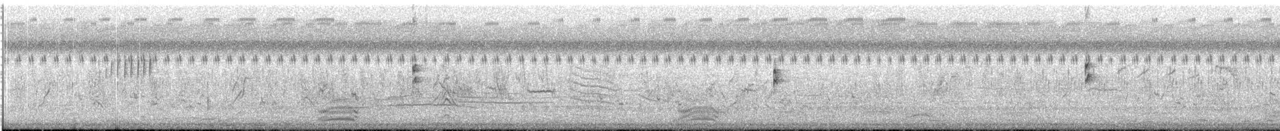 Pallas's Grasshopper Warbler - ML643871441