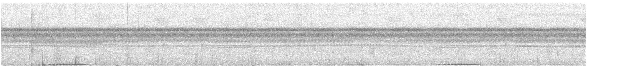 Sulawesi Ground Dove - ML643871473