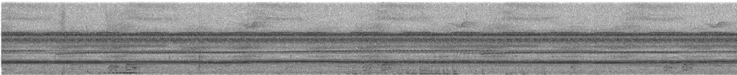 Sulawesi Ground Dove - ML643871474