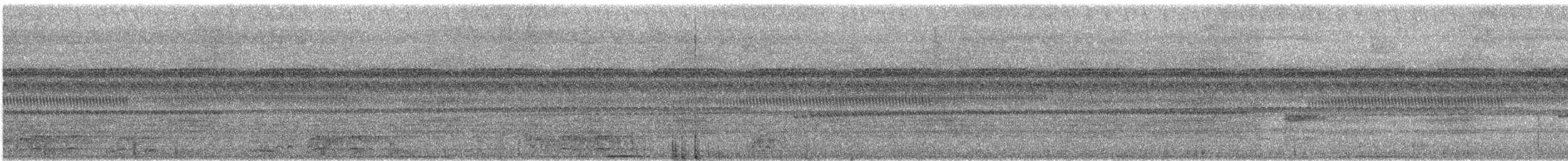 Sulawesi Ground Dove - ML643871475