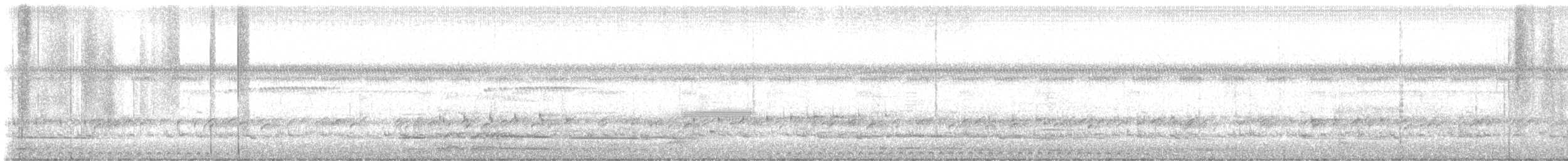 Puerto Rican Owl - ML643871573