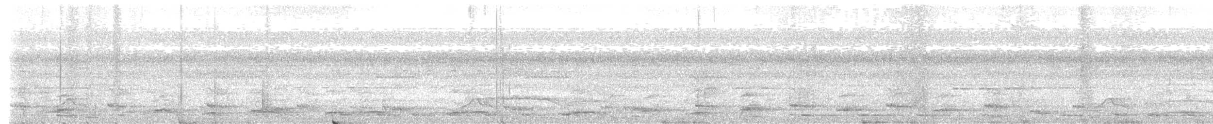 Râle de Cayenne (cajaneus) - ML643871590