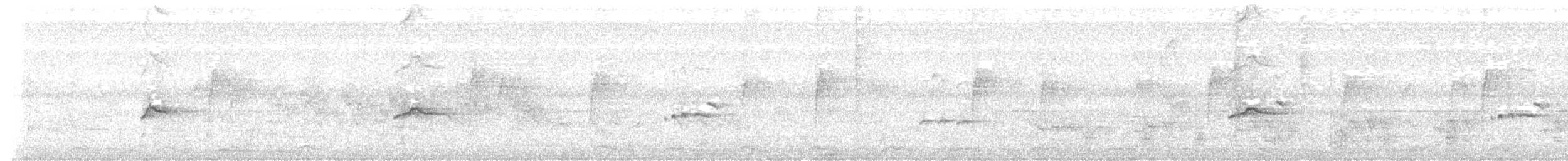 Piratic Flycatcher - ML643871654