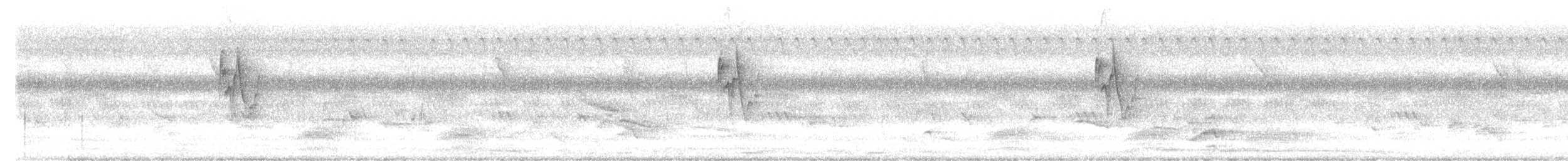 Greenish Warbler - ML643871757
