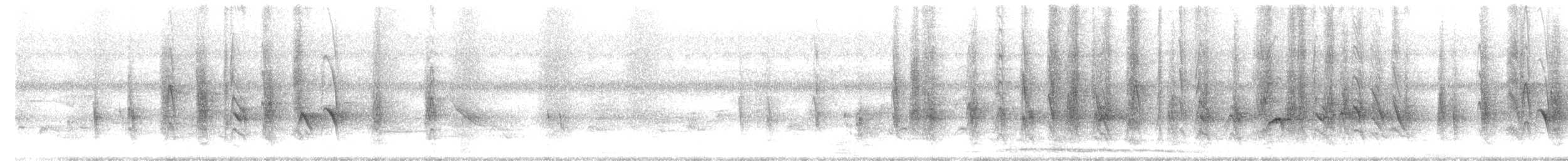 Ashy Drongo - ML643871917