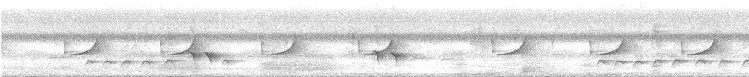 Ashy Drongo - ML643871967
