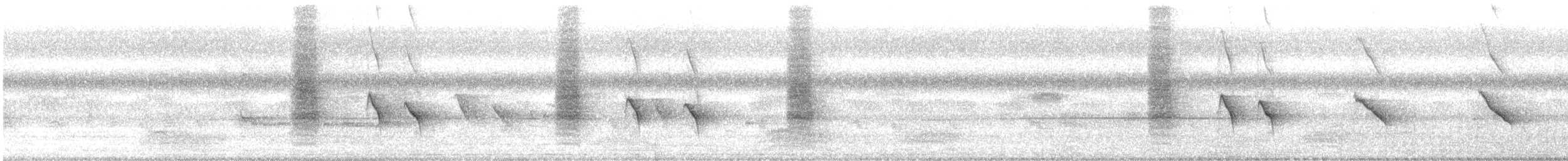 Ashy Drongo - ML643872439