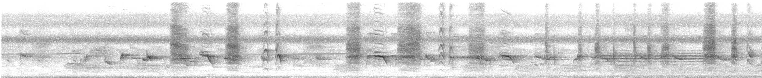 Ashy Drongo - ML643872440