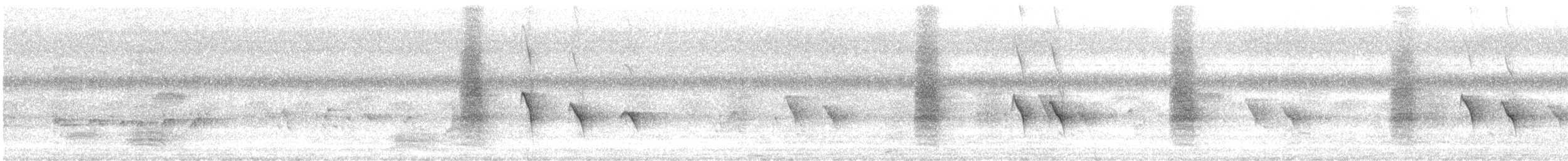 Ashy Drongo - ML643872441