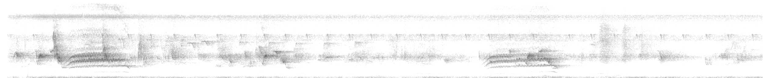 drongo šedobřichý - ML643872594