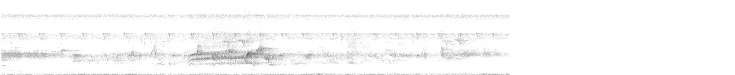 drongo šedobřichý - ML643872595