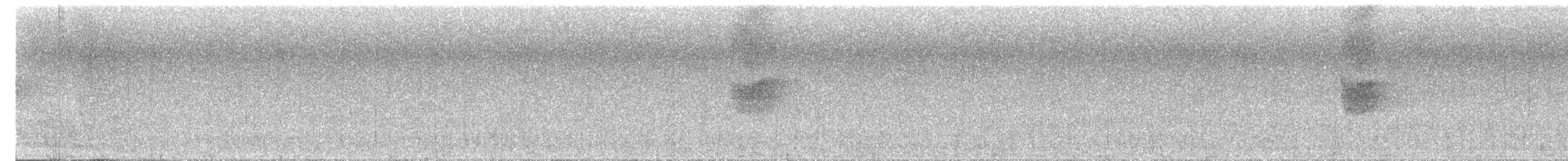 modravec siný - ML643873454