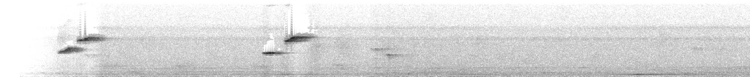 Large-billed Leaf Warbler - ML643874172