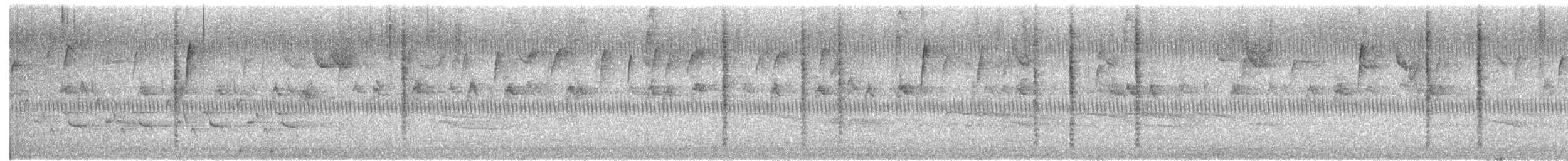 Marsh Wren (palustris Group) - ML643874542