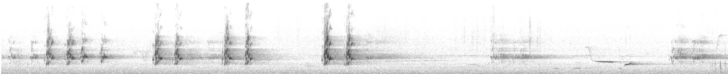 Gray Currawong - ML643875068