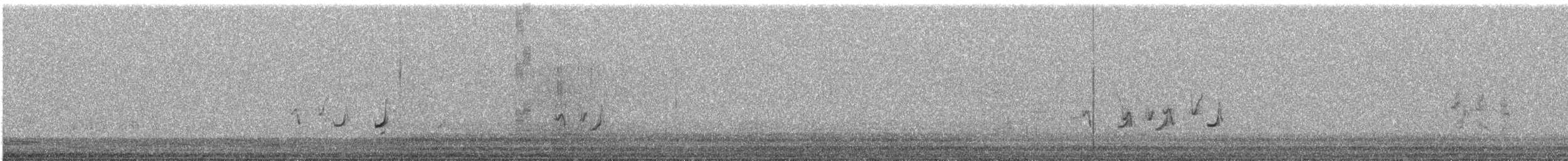 Stubble Quail - ML643875936