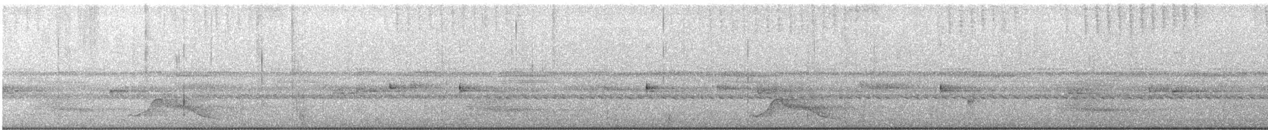 Common Pauraque - ML643877334