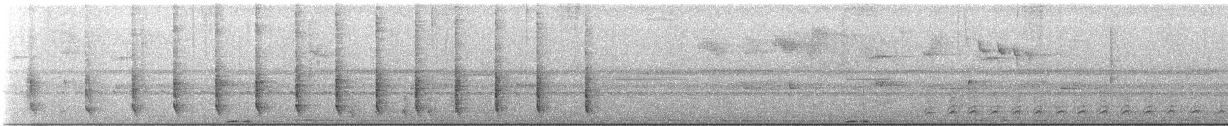 Rufous Motmot - ML643877358