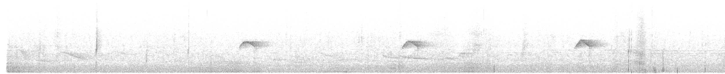 Rough-legged Tyrannulet - ML643877680