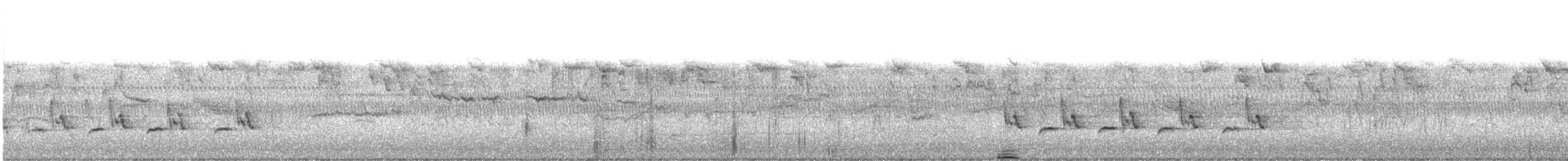 チャバラマユミソサザイ - ML643880353