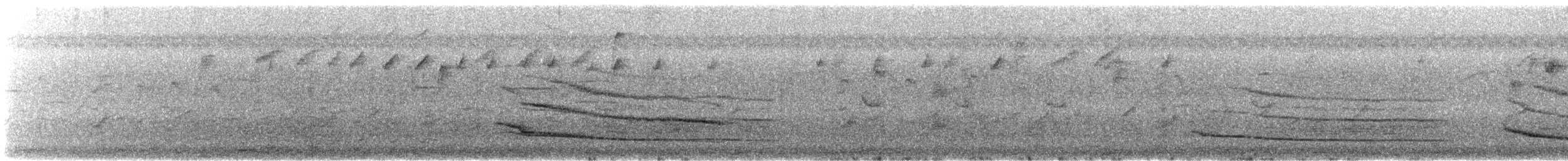 Red-necked Spurfowl - ML643880389