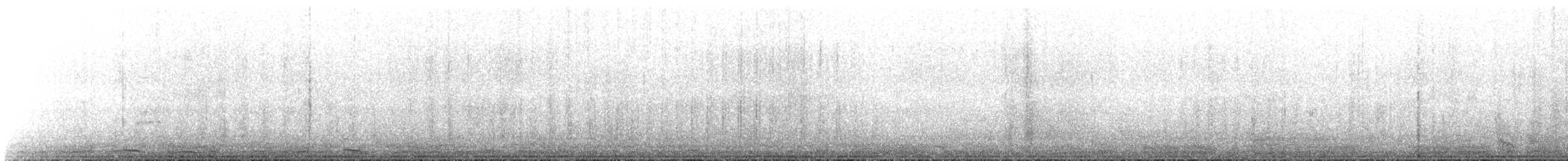 Prion de Belcher - ML643880493
