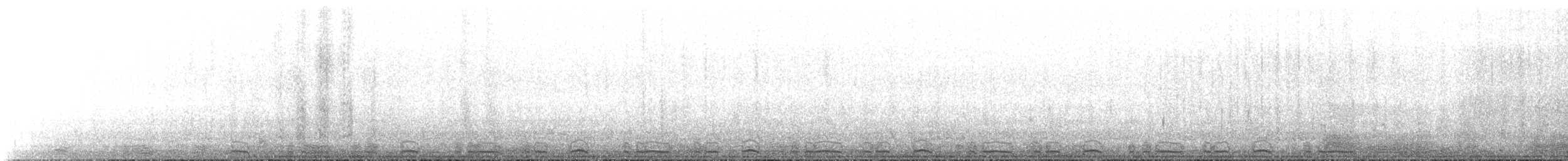 Prion de Belcher - ML643880496