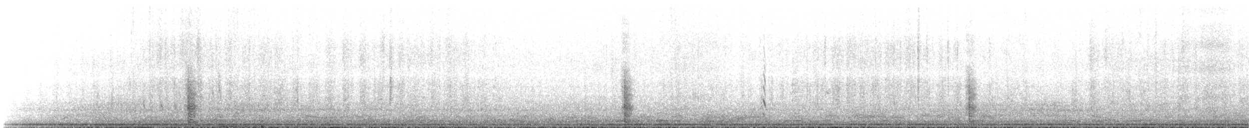 Prion de Belcher - ML643880497