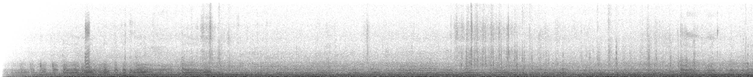Prion de Belcher - ML643880498
