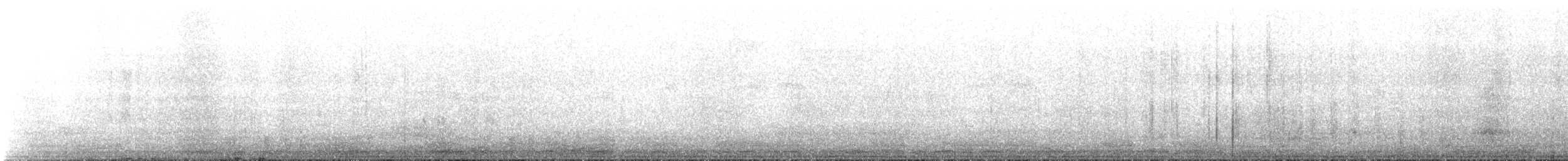 Prion de Belcher - ML643881967