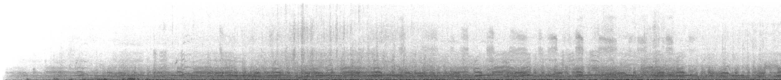 Prion de Belcher - ML643881968