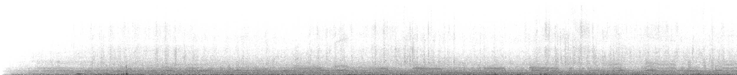 Prion de Belcher - ML643881969