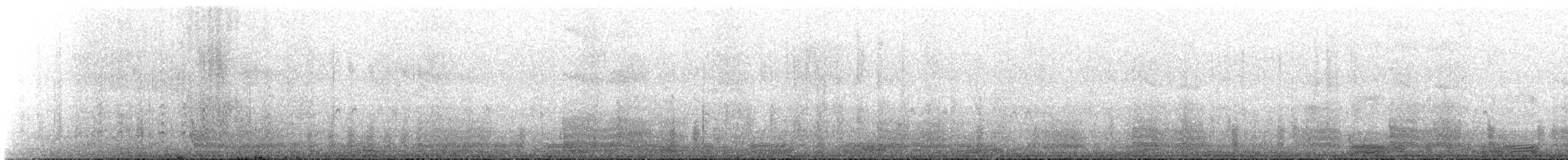 Prion de Belcher - ML643882799
