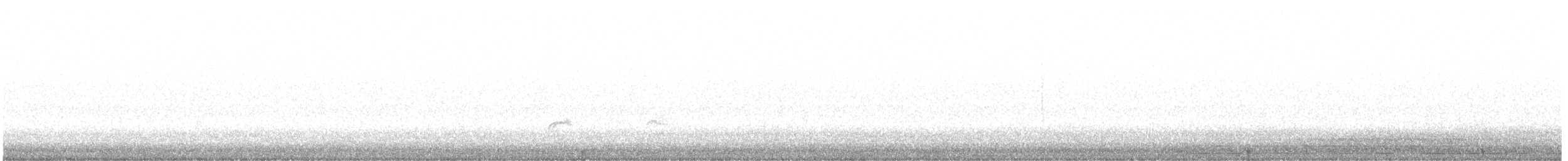 Swainson's Thrush (Olive-backed) - ML643885145