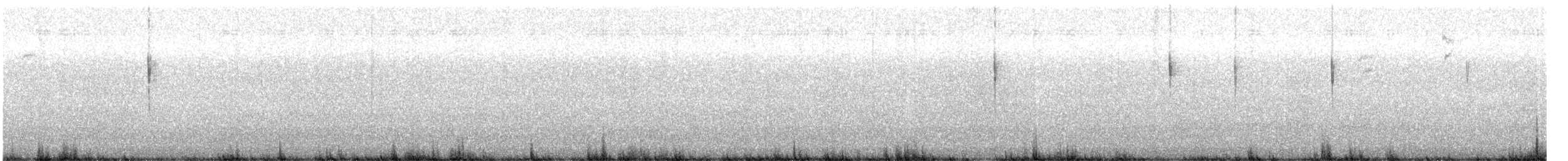 ネルソントゲオヒメドリ - ML643885760