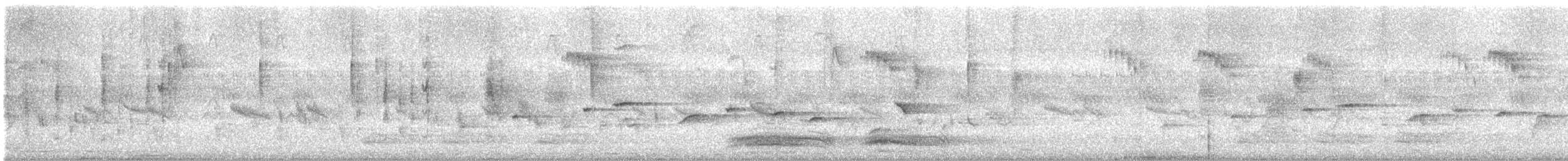 Abanico Pechipinto - ML643886126